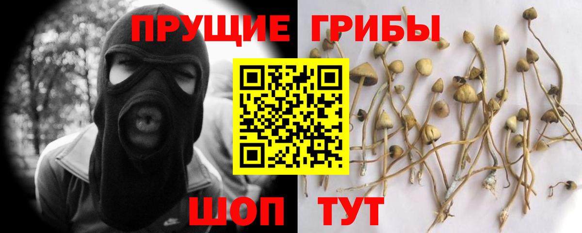 Псилоцибиновые грибы мицелий Новый Уренгой